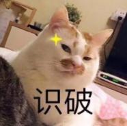 DƬ